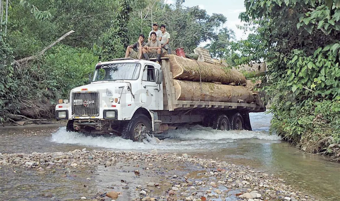 Talada ilegalmente el 90% de madera en Chiapas