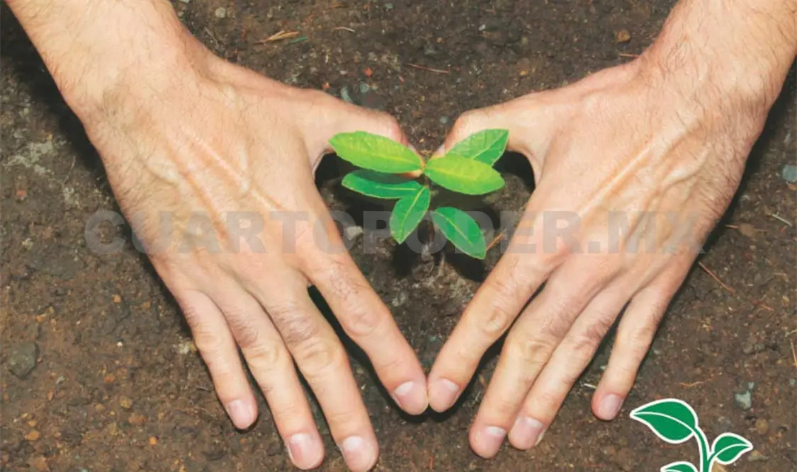 Concurso nacional por los ecosistemas