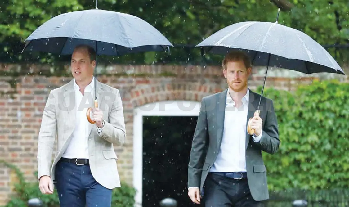 William y Harry recuerdan a su madre