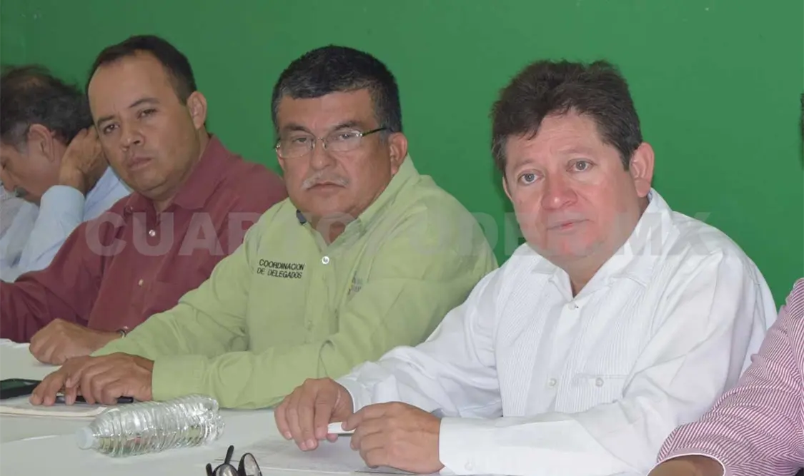 Según los delegados de la Secretaría del Campo y la Sagarpa, no se registró muerte de ganado. Guillermo Ramos/CP