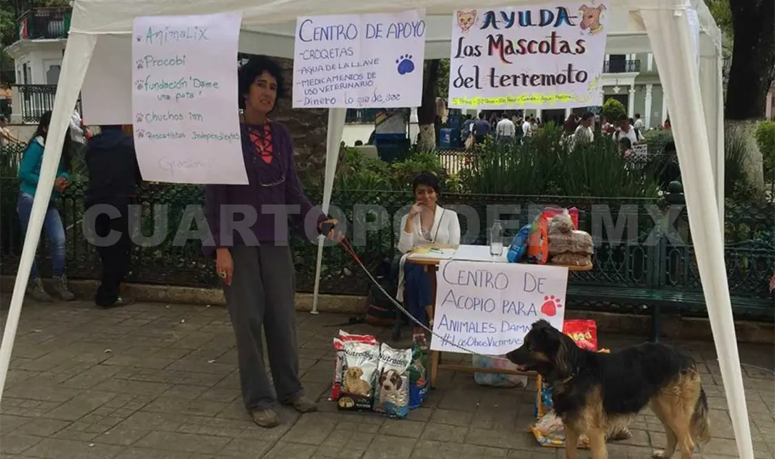 Recaudan alimento para mascotas afectadas por sismo