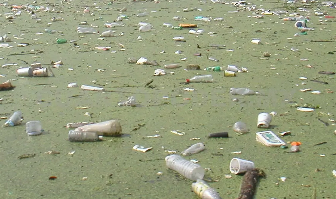 Se detectó ingreso de agroquímicos centroamericanos en lagunas. Cortesía. Noé Xicotencalt / CP