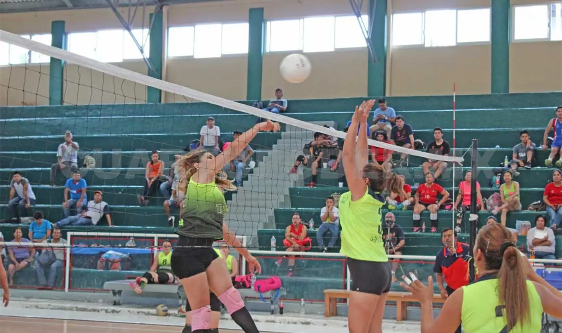 Talos y Leonas se quedan con el primer lugar