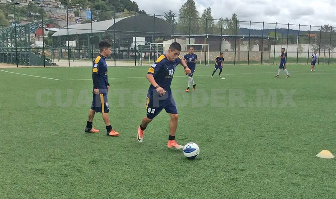 Ocelotes baja hasta el sexto