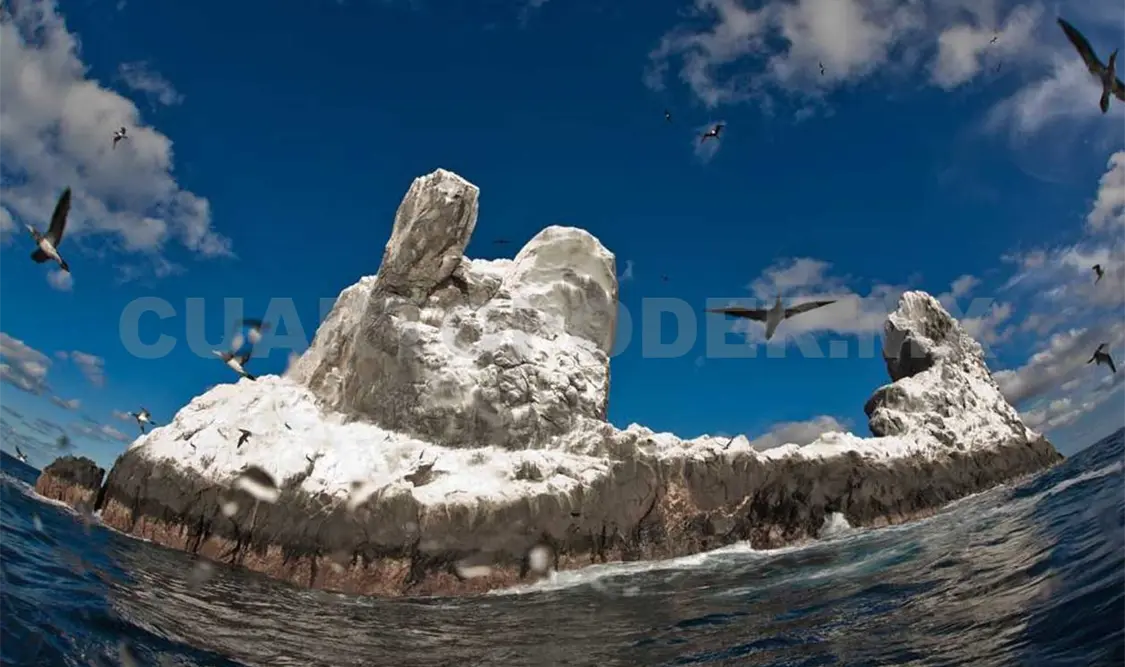 Protegen islas Revillagigedo