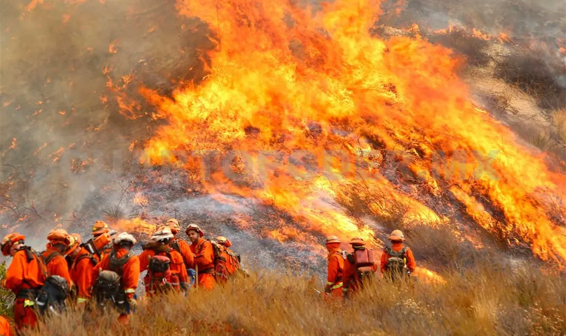 Áreas residenciales, bosques y otras propiedades fueron arrasadas por el fuego. Agencias