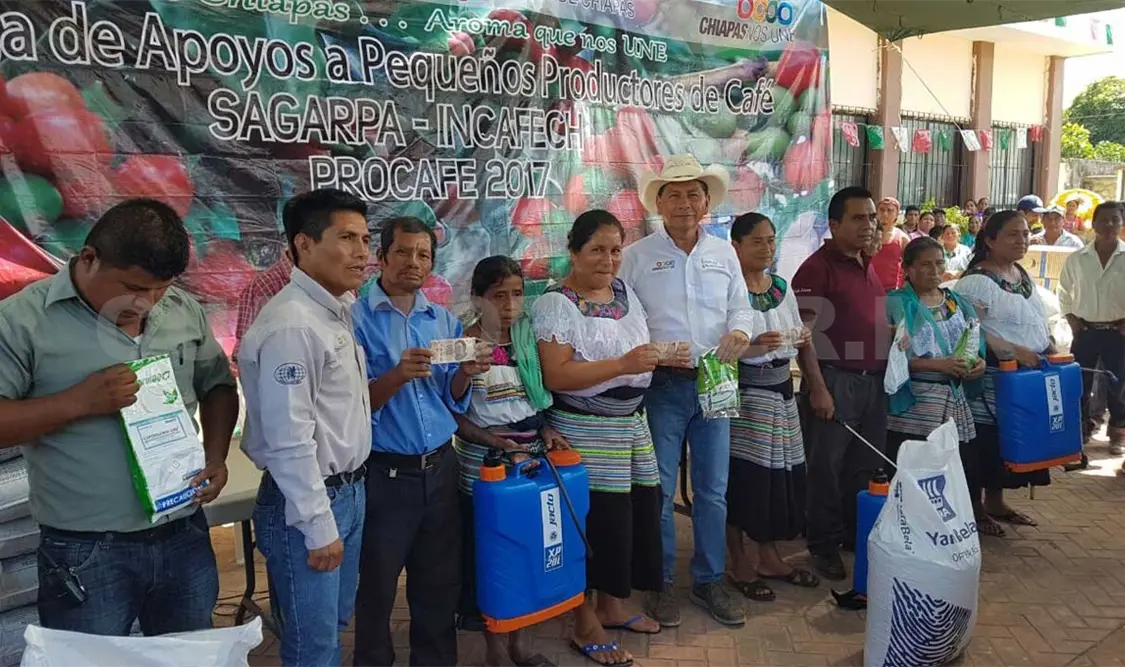 Continúan apoyos para pequeños productores de café
