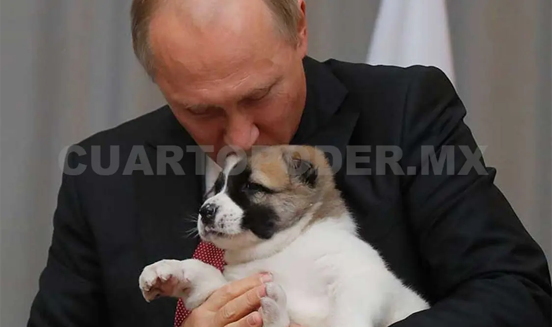 Putin recibe un perro en su cumpleaños