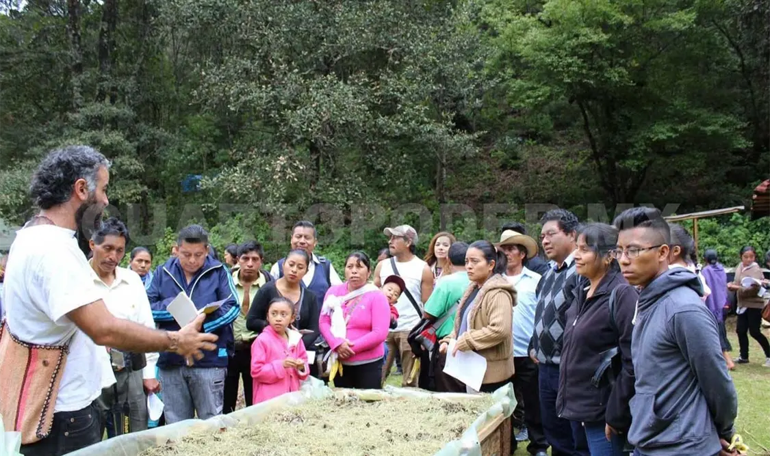 En marcha programa Huertos Escolares