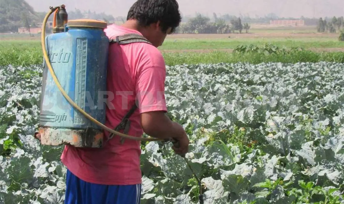 El uso de ese tipo de fertilizantes provoca efectos nocivos. Agencias