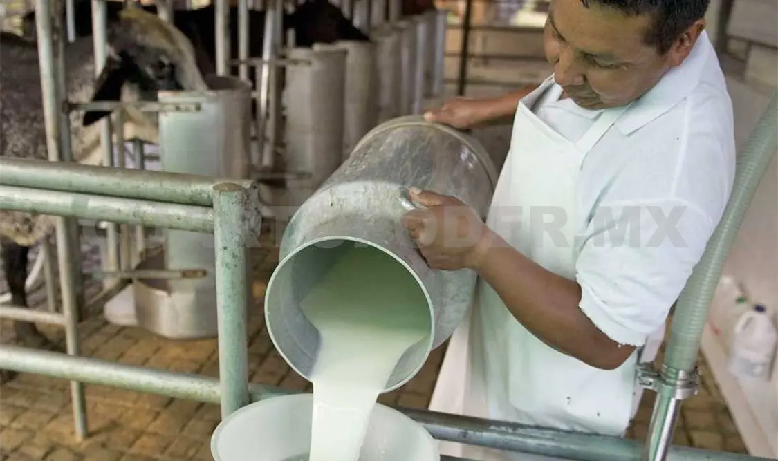 Este es un rubro muy importante en la economía, pues cada año se producen 12 mil millones de litros de leche. Agencias