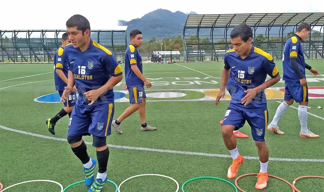 Ocelotes, sin Liguilla por un torneo más