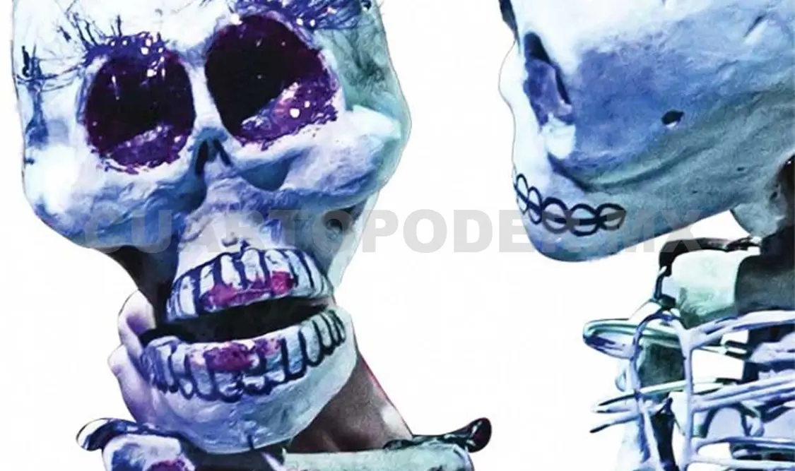 En La chorcha de las calacas, la Catrina se despierta tarde y debe organizar la fiesta de los difuntos.
