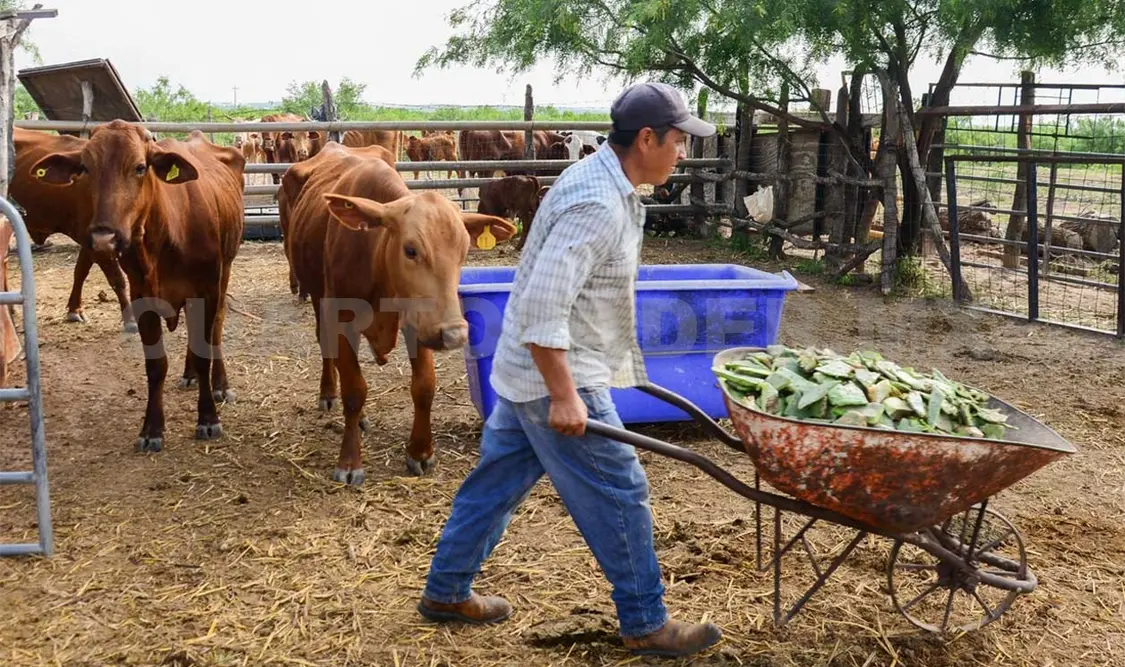 Comisiones del Senado aprobaron una iniciativa con la cual pequeños productores rurales serán beneficiados. Agencias