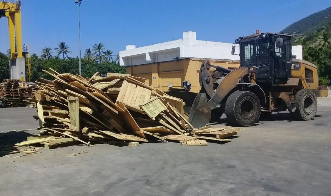 Incinera Profepa en Manzanillo embarque de madera con plaga