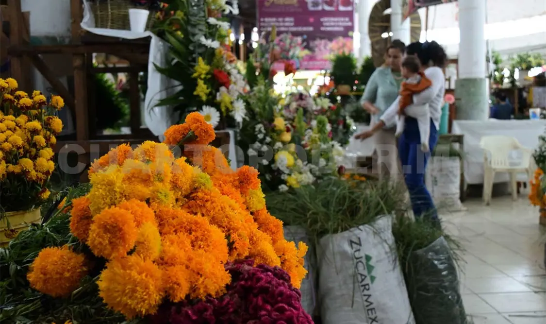 Ambulantaje afecta venta de flores en mercados