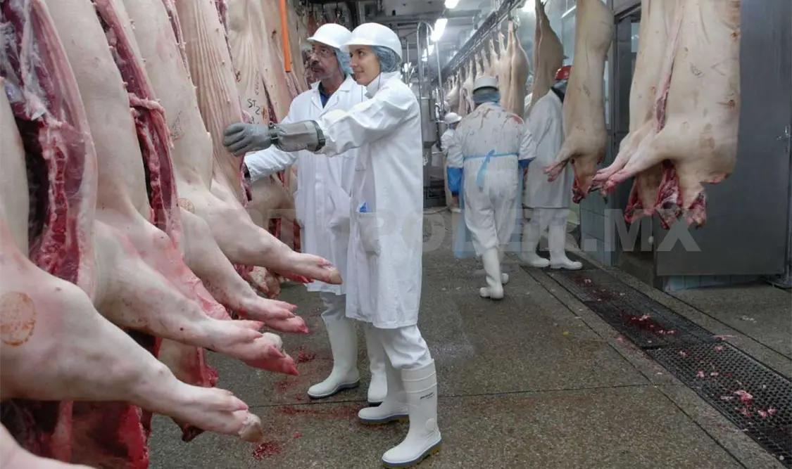 Carne de cerdo, carta en renegociación