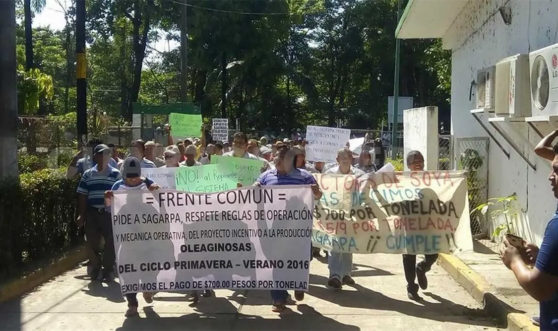 Productores de soya piden a Sagarpa la entrega de apoyos de proyecto