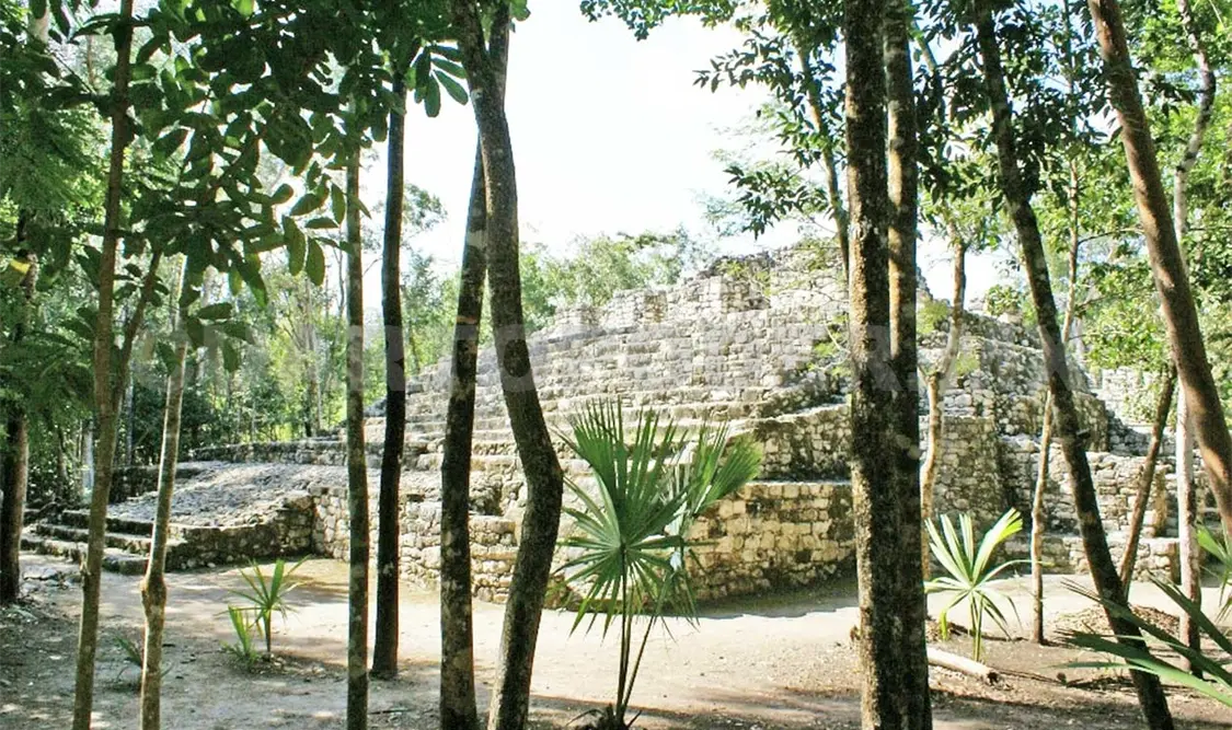 Identifican a gobernantes de ciudad maya de Cobá
