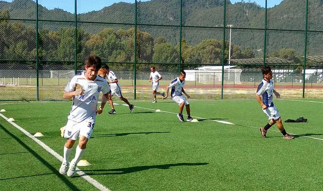 Ocelotes piensa ya en el Clausura 2018