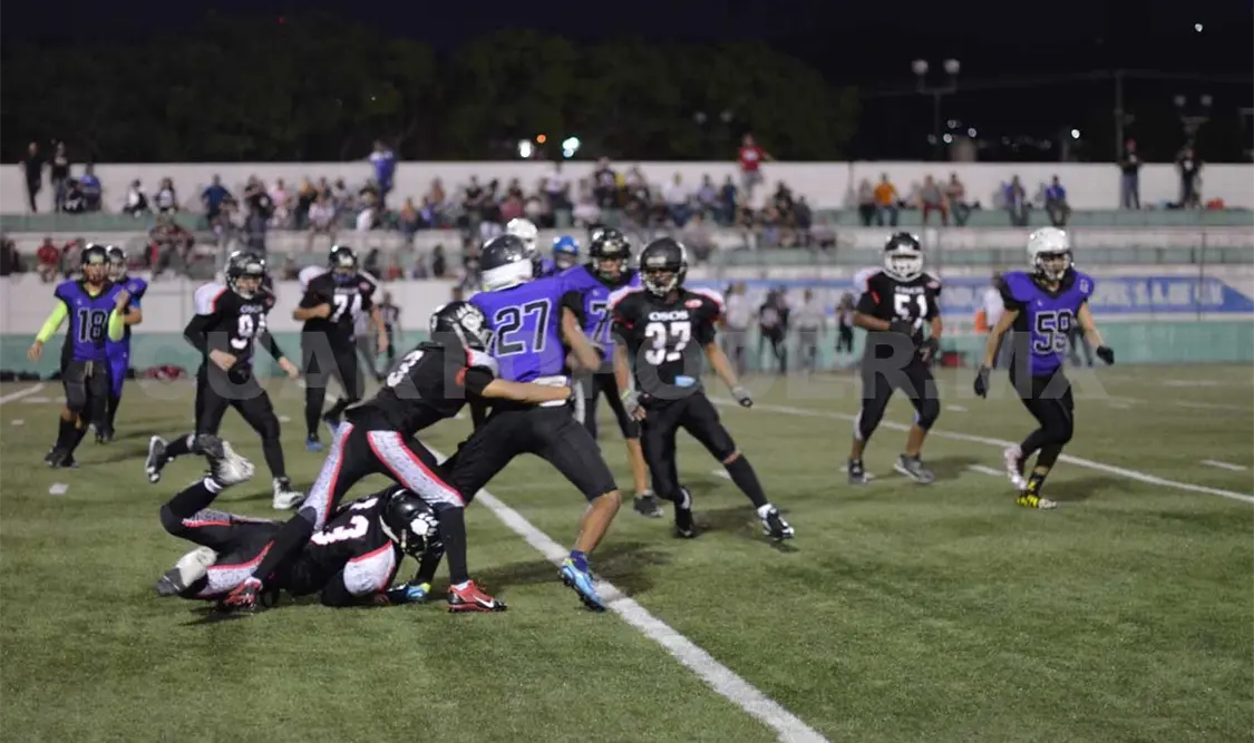 Ganaron los Borregos Salvajes en la Premier