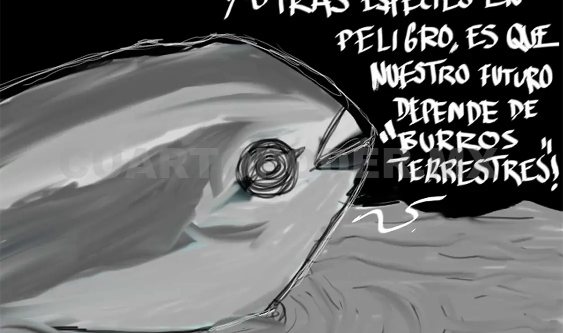 Alerta Vaquita