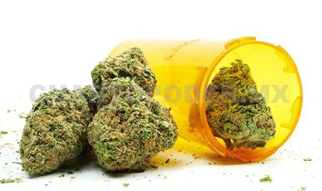 Cannabidiol bajará su costo