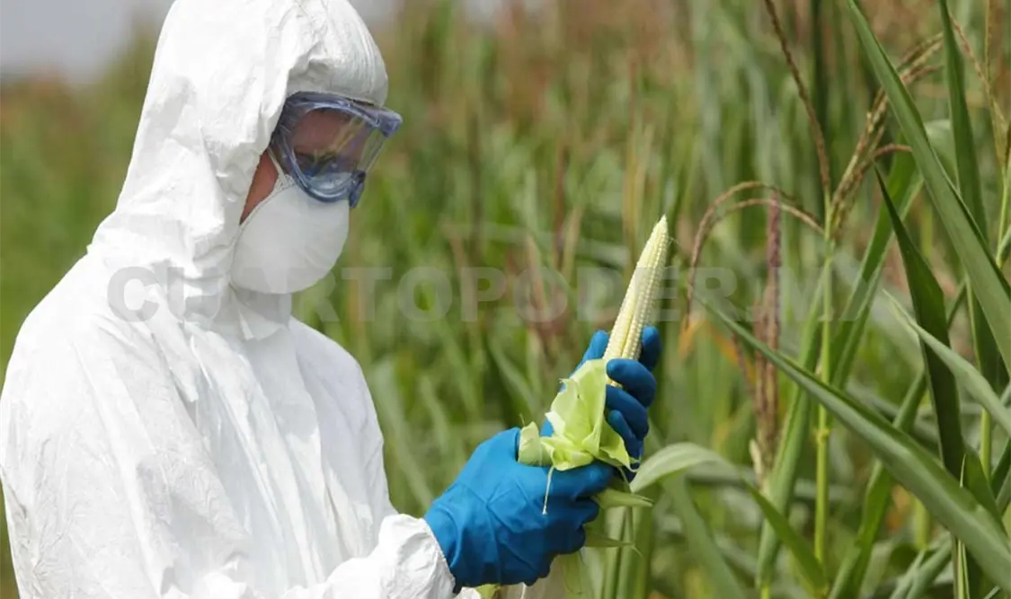 De acuerdo con la Sagarpa, México enfrenta un promedio de 160 alertas de inocuidad. Agencias