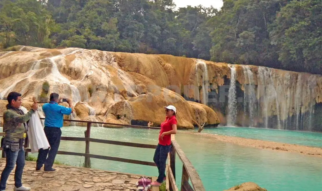 En total incertidumbre cooperativas de Agua Azul