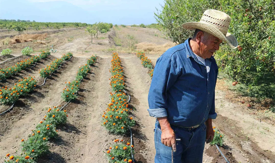 Agricultores mexicanos fueron becados para laborar en Washington