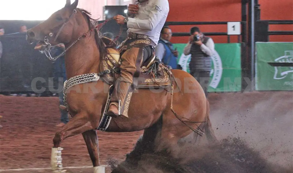 San Rafael logra 273 unidades en Pachuca