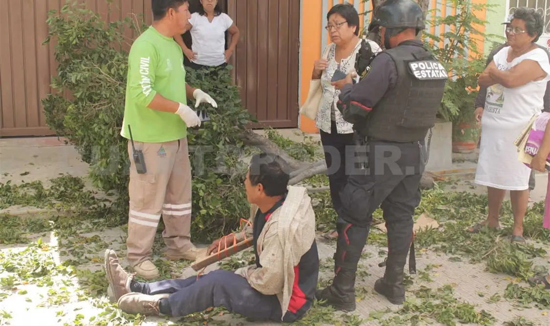 Se desploma jardinero de árbol y termina en hospital