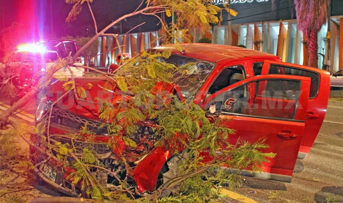 Ebrio conductor se estrella contra árbol