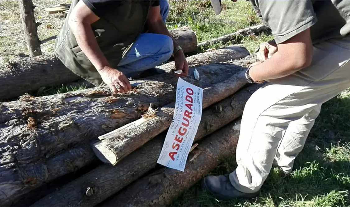 Clausura Profepa aserradero y asegura madera en Estado de México