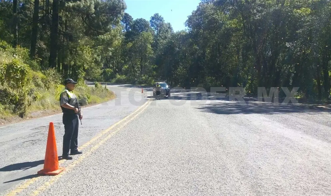 Aplican operativo ante llegada de mariposa monarca