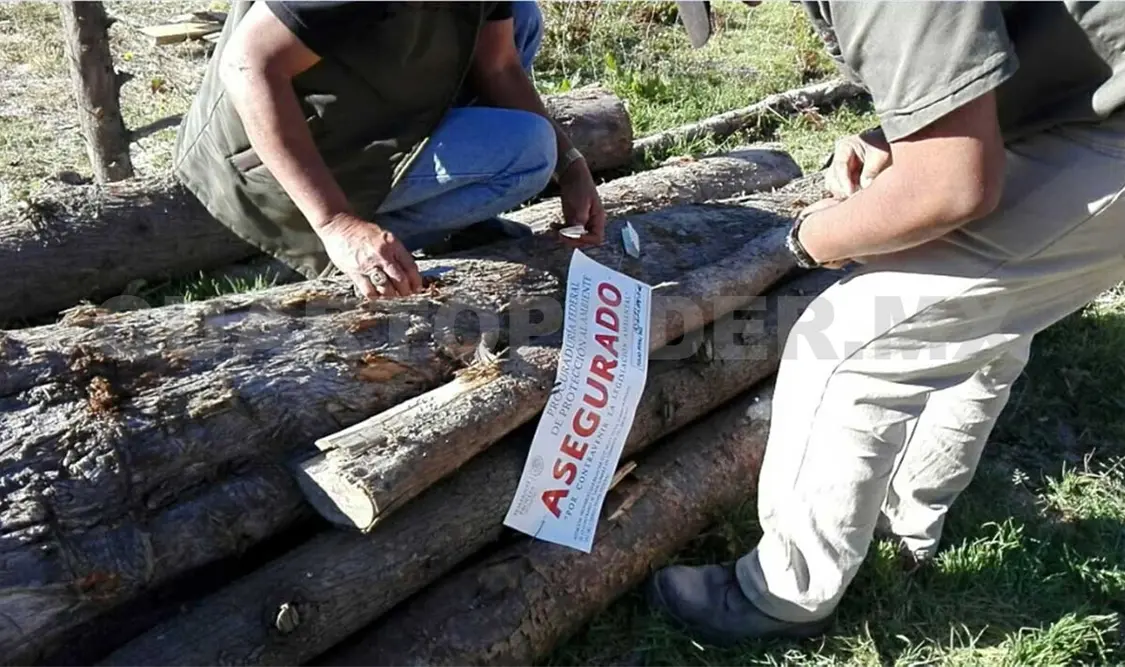 Clausura Profepa aserradero y asegura madera