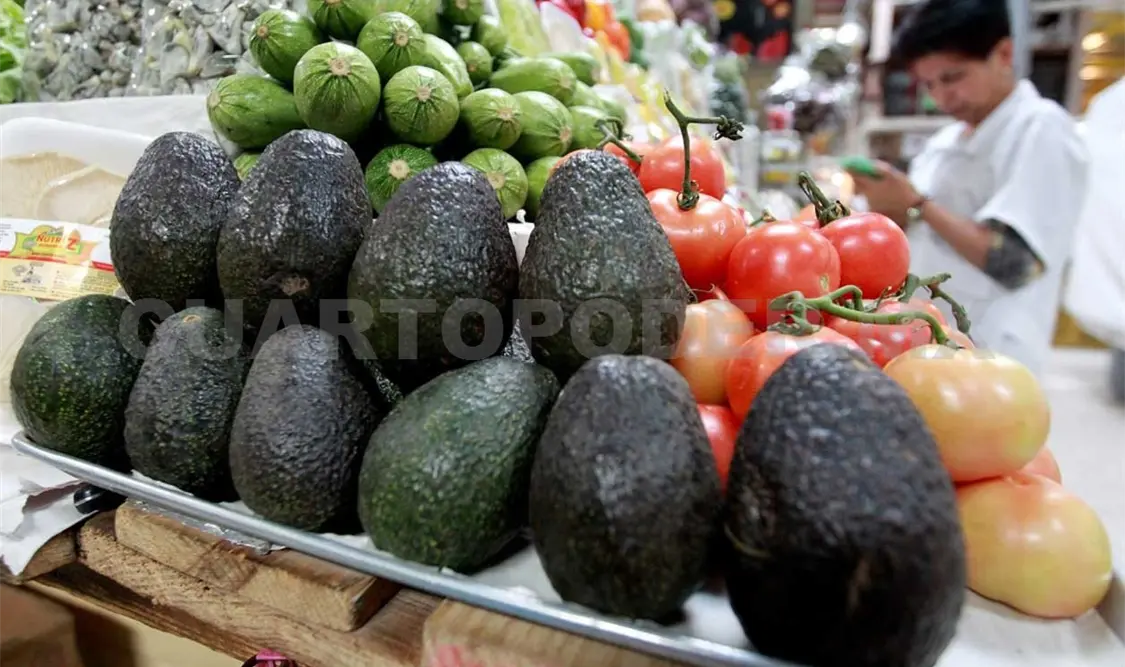 Aguacate y cebolla, los que más bajaron