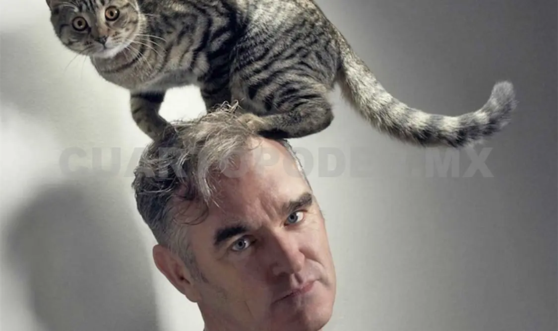 Morrissey en defensa de acosadores