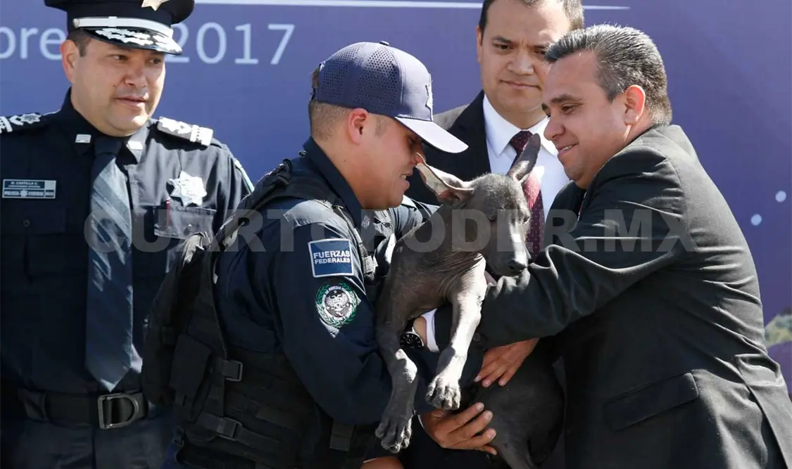 Jubilan a 14 oficiales caninos de la PF