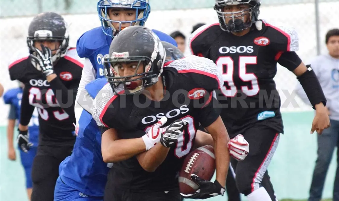Osos recibe a Raptors en la jornada 5