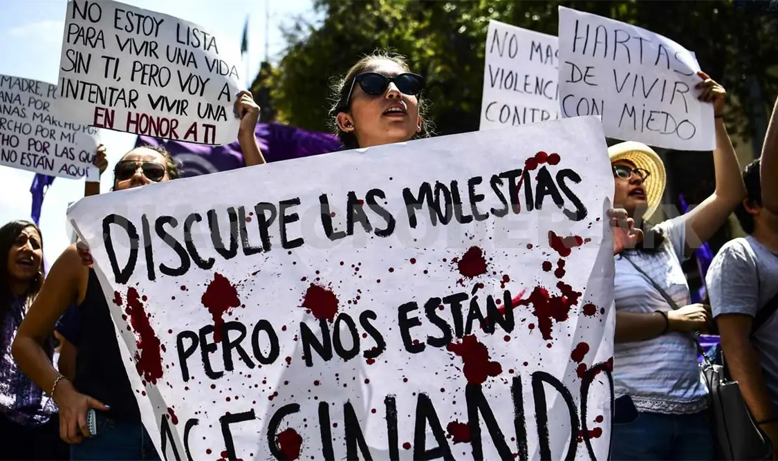 “Más de 22 mil 480 mujeres fueron asesinadas a lo largo de todo el país”, dijo la diputada Eloísa Talavera. Agencias