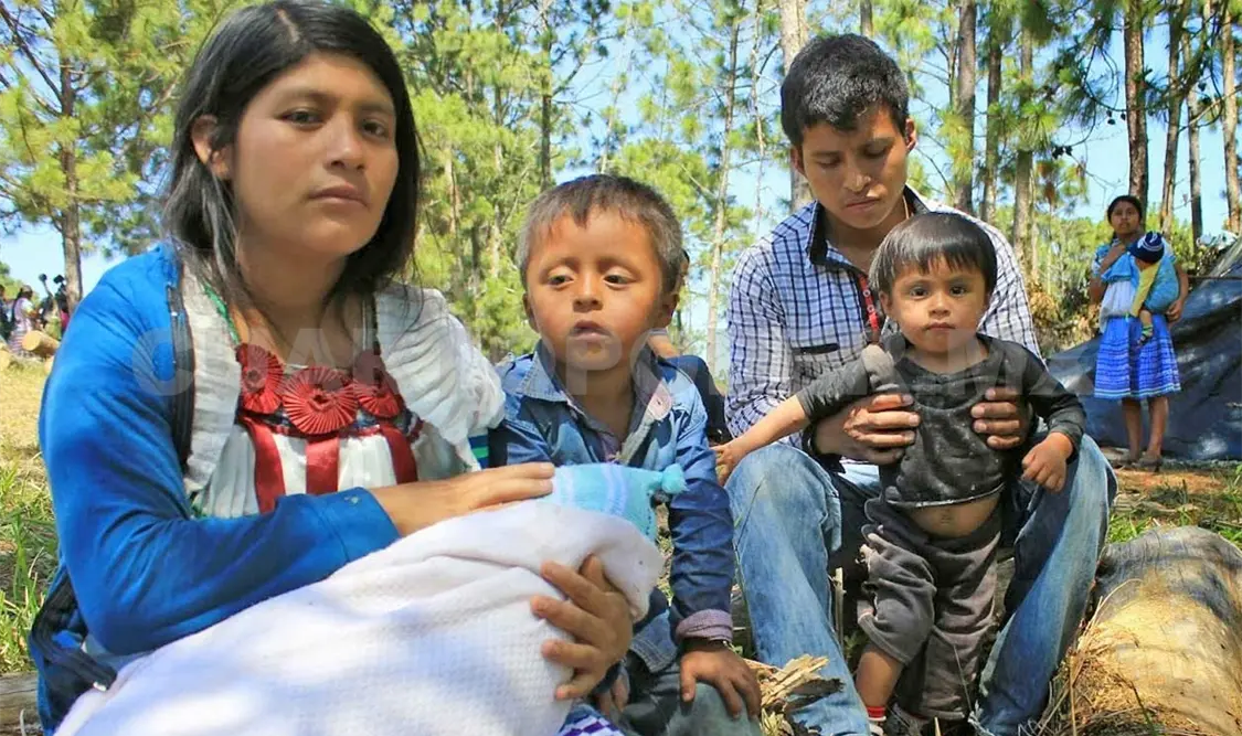 Muchas familias indígenas viven refugiadas en las montañas por el conflicto armado que ha generado terror por el conf. CP