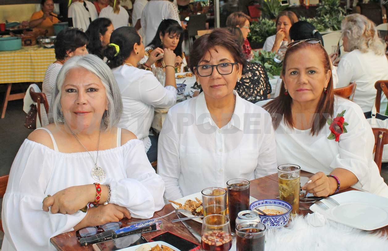 Gran fiesta de Rosi