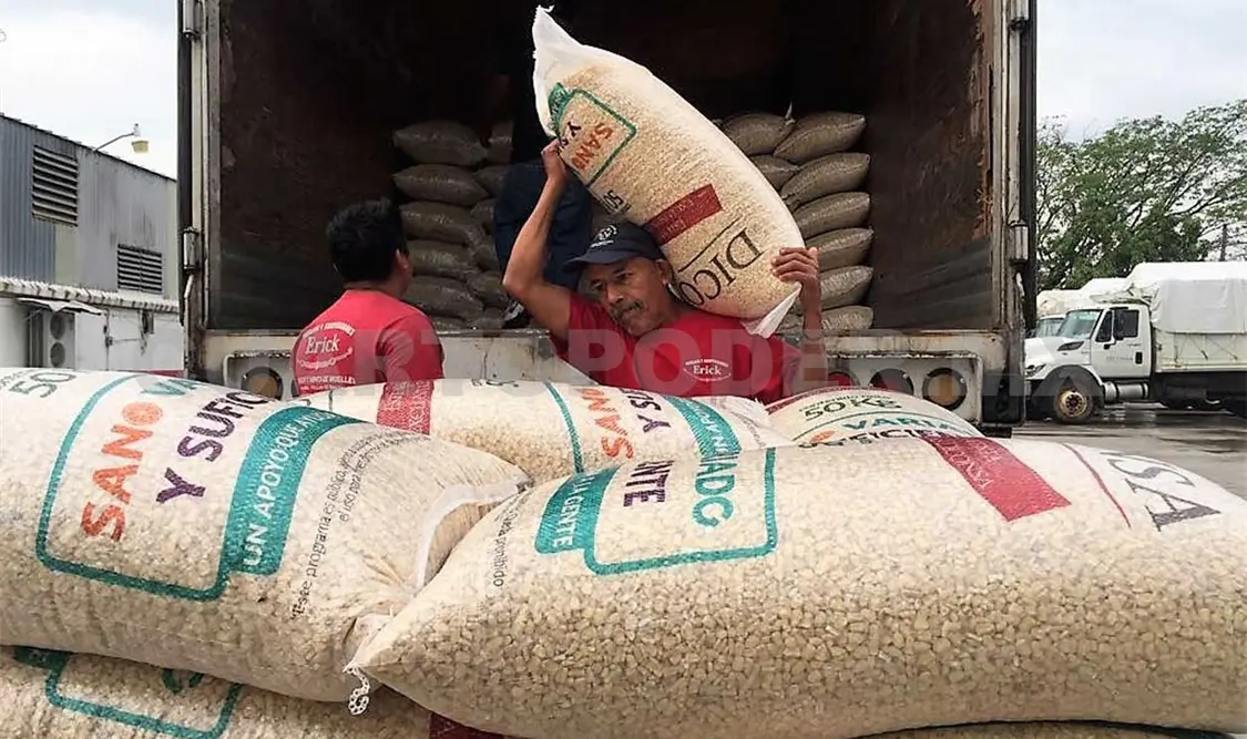 Baja a 4.50 pesos el precio del kilo de maíz