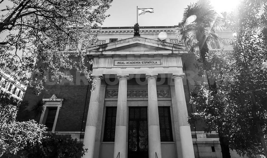 Una imagen sobre una de las sesiones de la Real Academia de Española. Cortesía