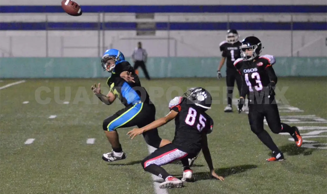 Borregos recibe a Osos en la semifinal de juvenil