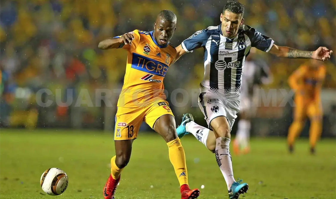 Nuevo campeón a la vista