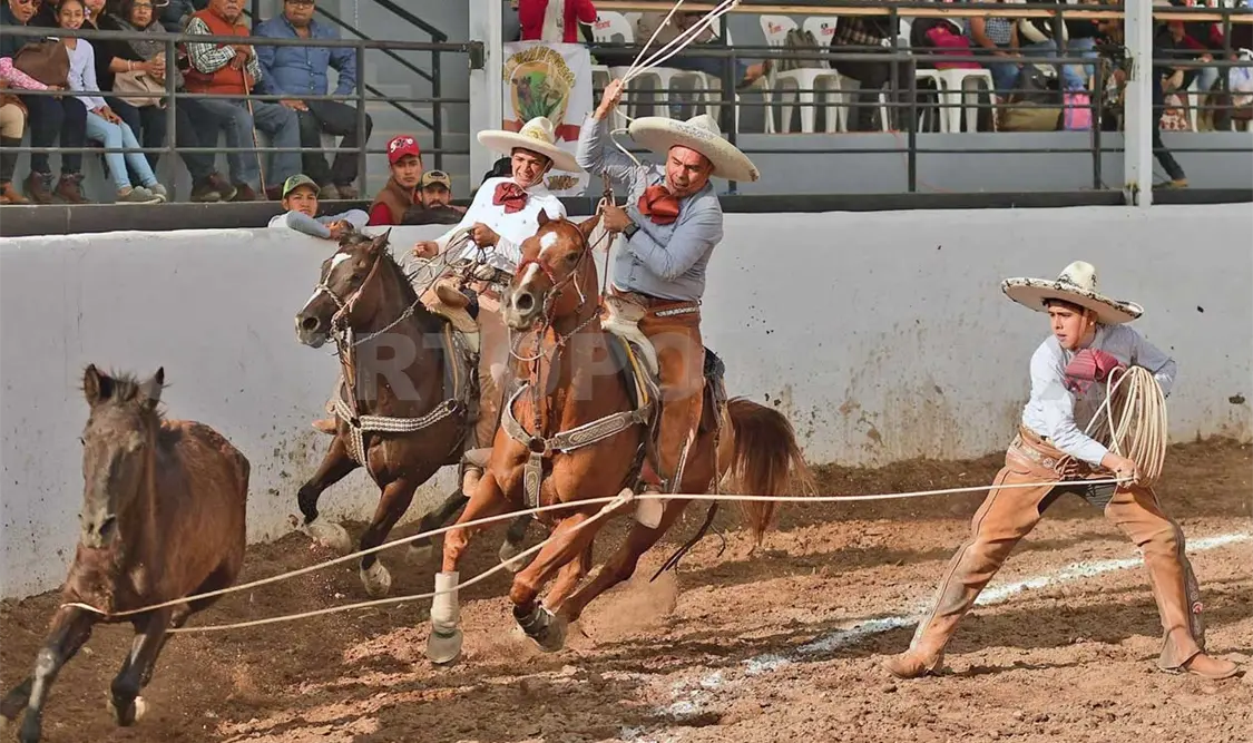 Santa Teresa, primer monarca en nuevo lienzo