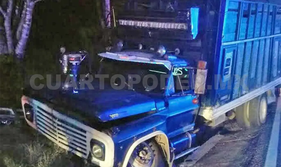 Camión sale del camino por una falla mecánica
