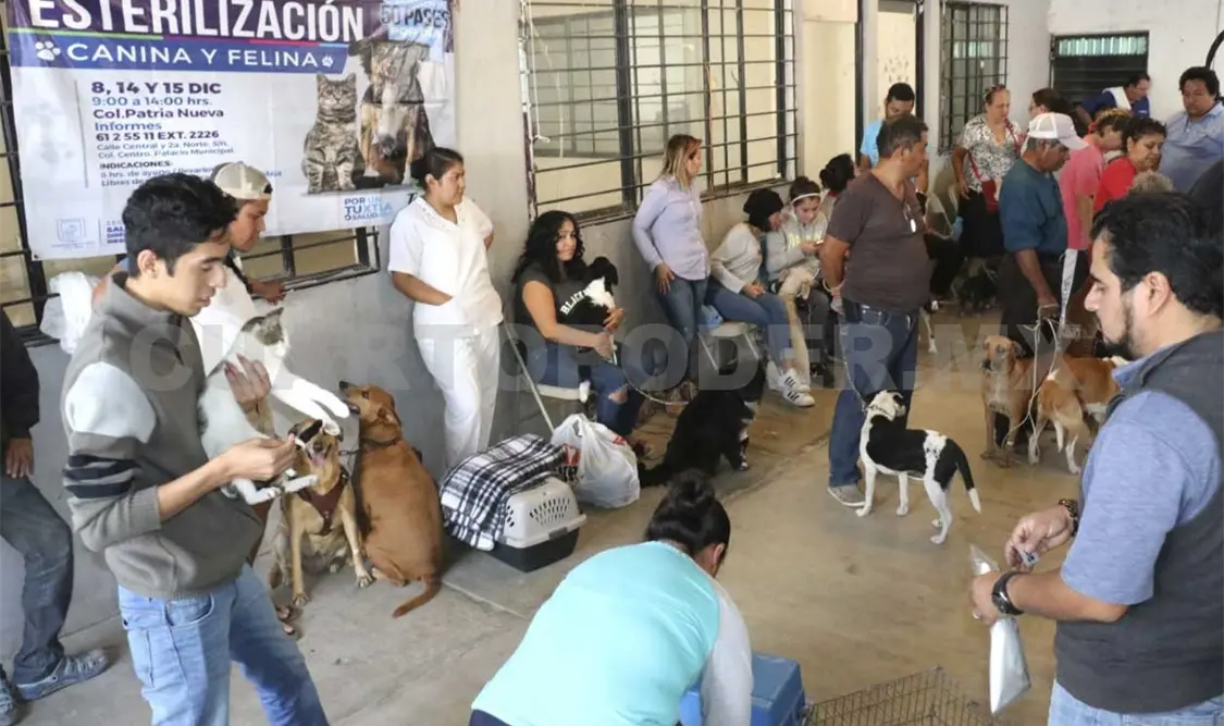 Finalizó campaña para mascotas